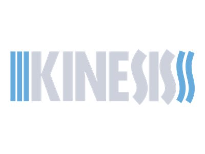 KINESIS Logo