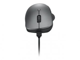 Lenovo Professional - Mouse - ergonomic - blue optical - 6 buttons - wireless - Bluetooth 5.1 - storm grey