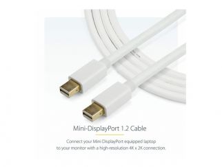 StarTech.com 2m 6ft White Mini DisplayPort 1.2 Cable M/M - Mini DisplayPort 4k w/ HBR2 support - Mini DP to Mini DP Cable 2 meter, 6 feet (MDPMM2MW) - DisplayPort cable - 2 m