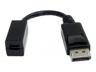 StarTech.com 6in DisplayPort to Mini DisplayPort Video Cable Adapter (DP2MDPMF6IN) - DisplayPort adapter - DisplayPort (M) to Mini DisplayPort (F) - 15.2 cm - molded - for P/N: SV231DPU, SV231DPUA