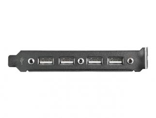 StarTech.com 4 Port USB A Female Slot Plate Adapter - USB panel - 4 pin USB Type A (F) (USBPLATE4) - USB panel - USB (F) to 9 pin IDC (F)