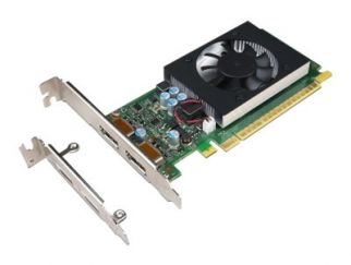 NVIDIA GeForce GT730 - Graphics card - GF GT 730 - 2 GB GDDR5 - PCIe 2.0 x8 low profile - DisplayPort - for ThinkCentre M710, M715, M720, M75t Gen 2, M910, M920, V530-15