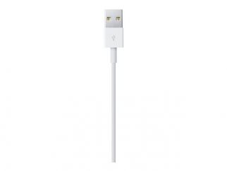 Apple - Lightning cable - Lightning male to USB male - 1 m