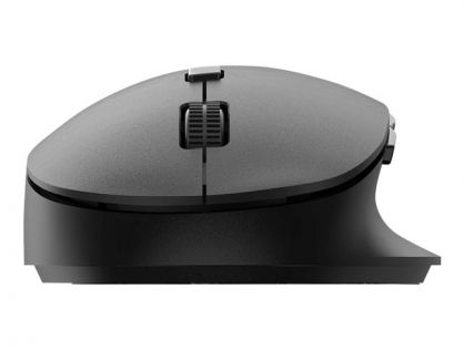 Philips SPK7607B - 6000 Series - mouse - ergonomic - right-handed - optical - 7 buttons - wireless - 2.4 GHz, Bluetooth 3.0, Bluetooth 5.0 - USB wireless receiver