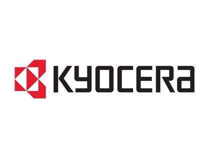 Kyocera DV 3100 - black - original - developer kit